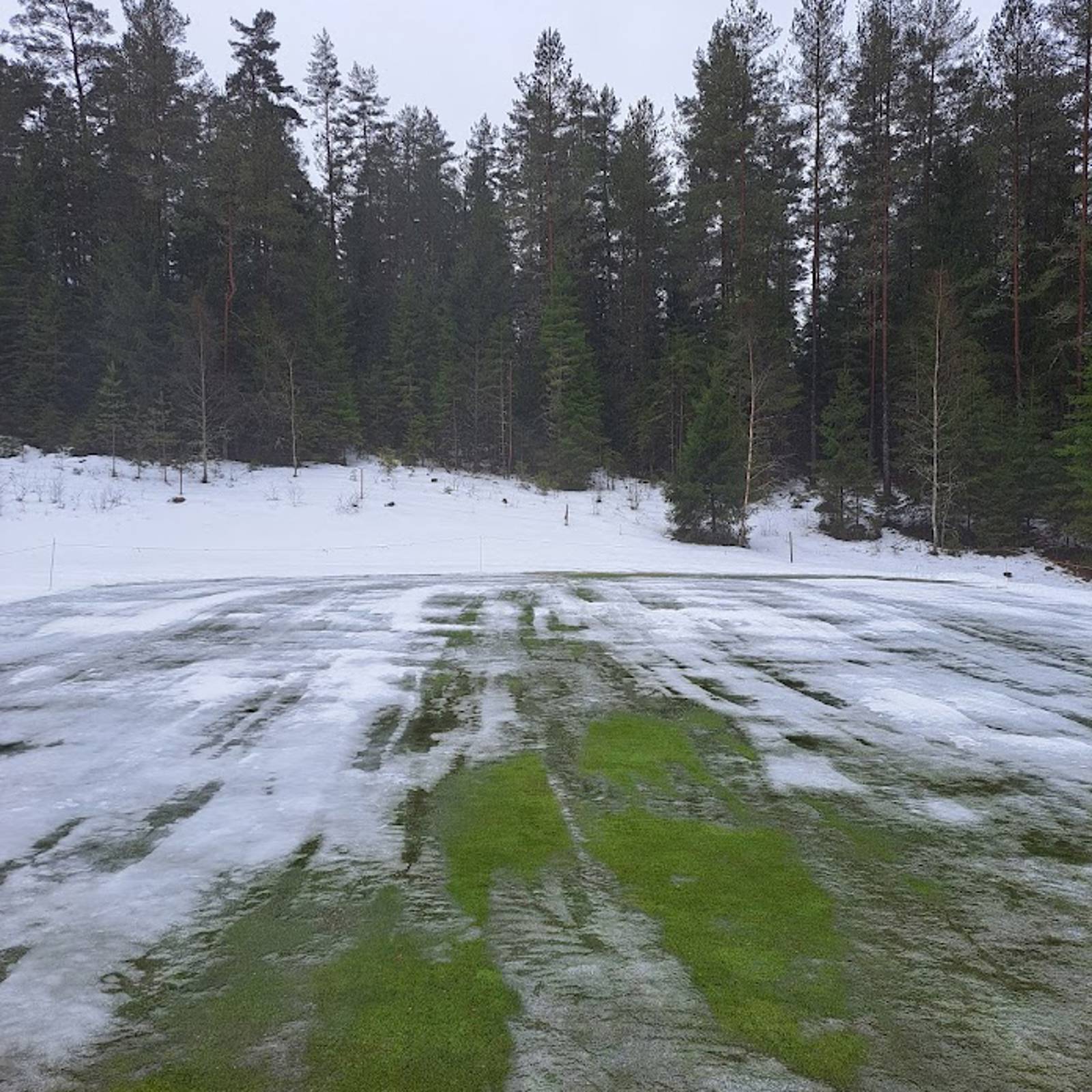 Skottat 17Green 2026