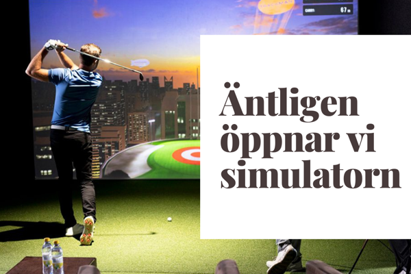 Simulator 