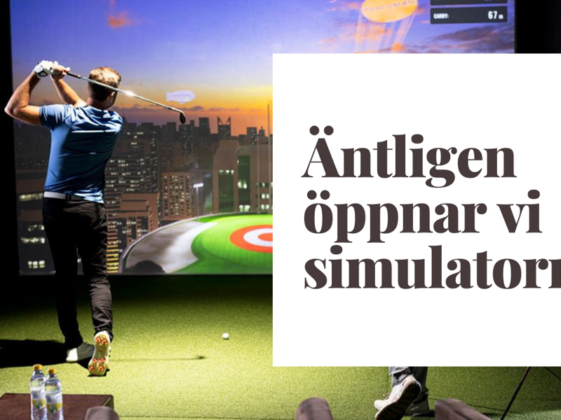 Simulator 