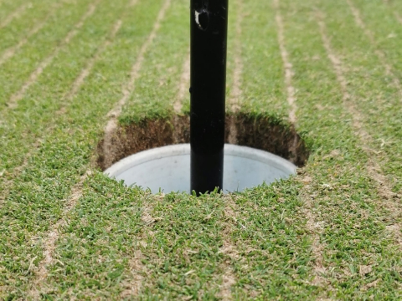 Greenarbetet v34