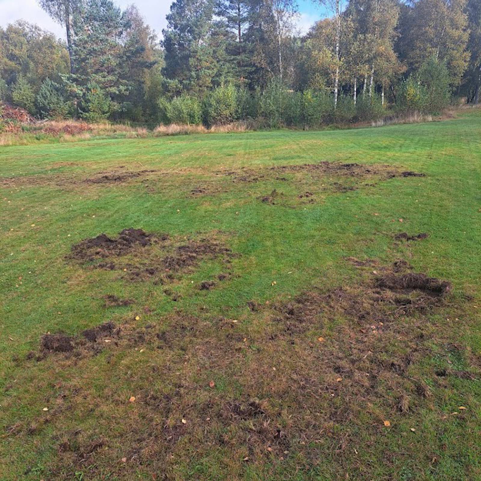 Fågelskador Hål 18