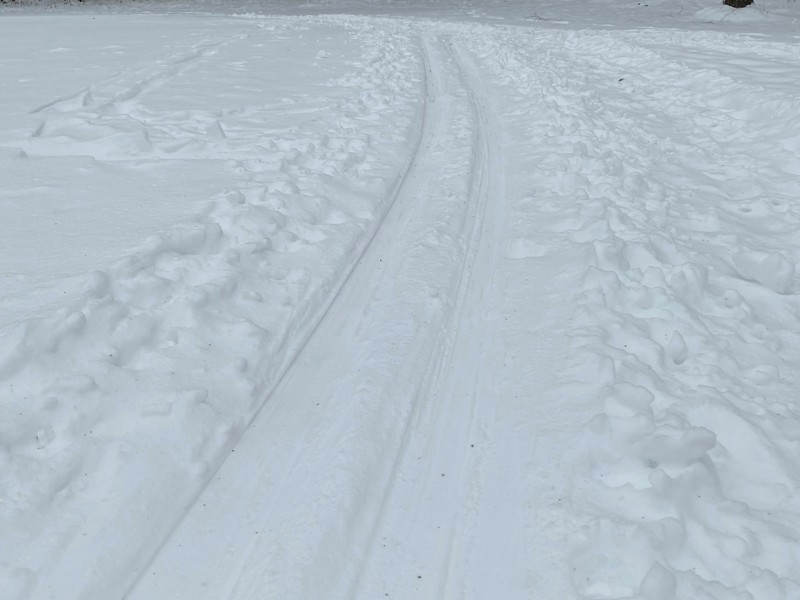 Skidspår