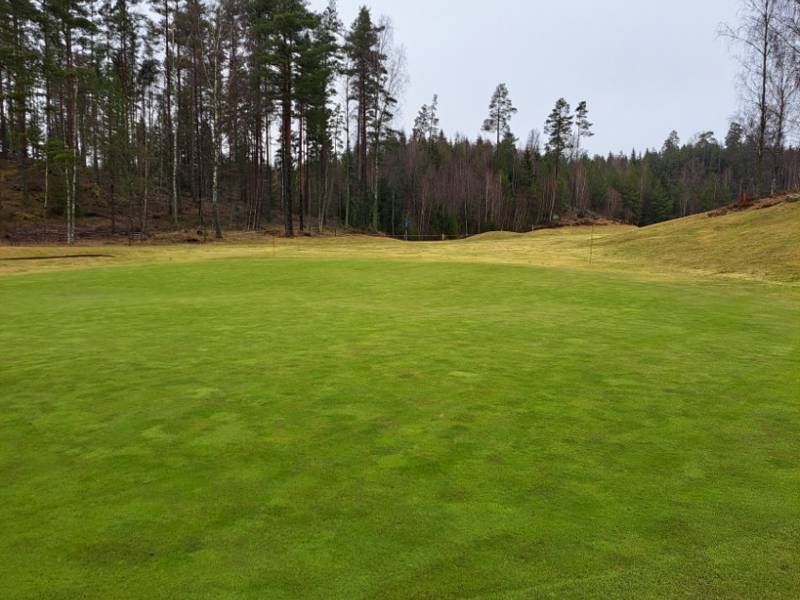Fredag 11/4 kl 12 öppnar vi sommargreener!